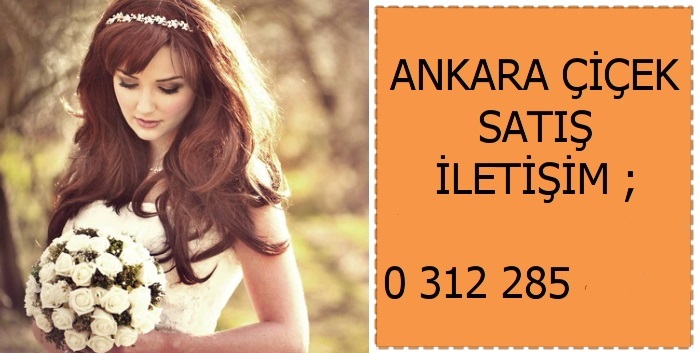 Ankara iek sat
