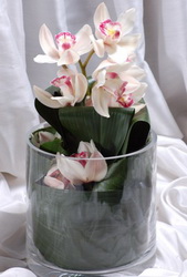 vazo içerisinde tek dal orkide çiçeği Ankara ostim çiçekçilik firması ürünümüz