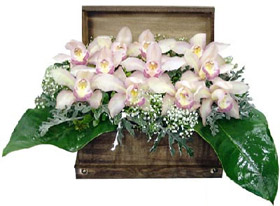 sandık içerisinde 1 dal kesme orkide çiçeği Ankara çiçekçilik görsel çiçek modeli firmamızdan