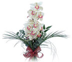 Ankara çiçek gönder firması şahane ürünümüz tek dal kesme orkide çiçeği buketi