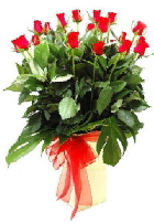 Vazoda 17 adet kırmızı gül Ankara online çiçek gönderme sipariş