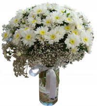 Vazoda beyaz papatyalar Ankara yurtiçi ve yurtdışı çiçek siparişi